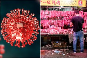 Mokslininkai: naujasis koronavirusas atsirado ne Uhano turguje