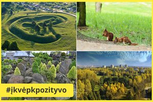 Nerandate laimės? Palietę šį medį Lietuvoje visus metus galite būti laimingi