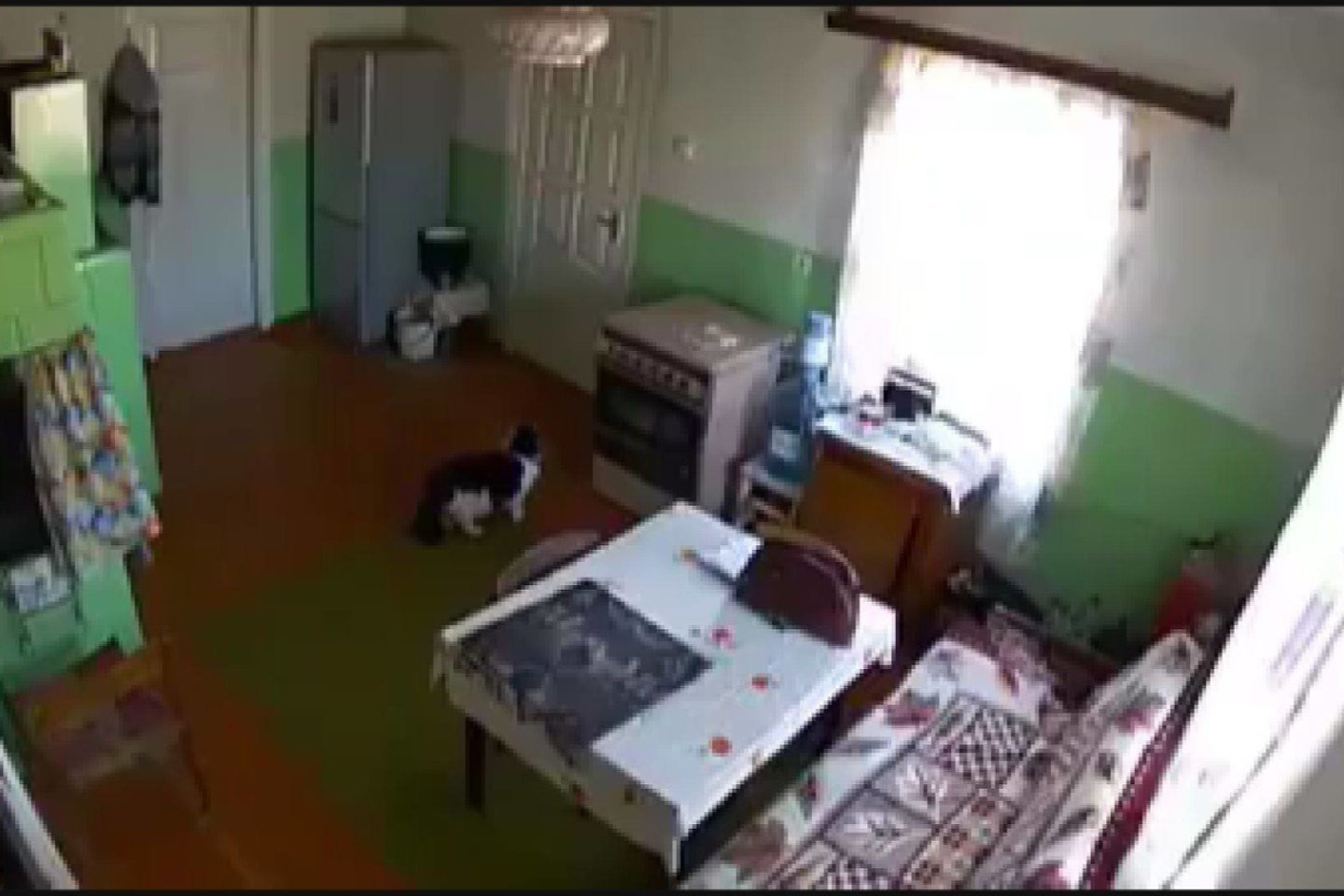  Sukčių sučiupti padėjo sučiupti senolės namuose Kėdainių rajone įrengtos vaizdo kameros.<br> "Stop" kadras.