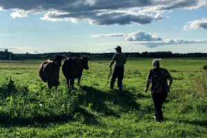 Žemės ūkio rūmai atnaujina fizinius susitikimus su ūkininkais ir kaimo gyventojais
