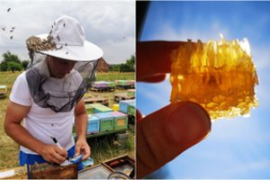 Kaip pasirinkti kokybišką medų be priemaišų: bitininko patarimai