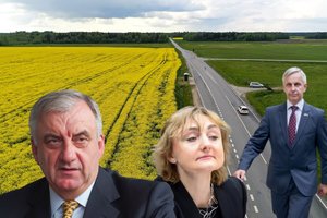 Dėl valstietės teiktų pataisų susikirto dvi grupės: kilo įtarimų, kad pataikauja vienai verslo šakai