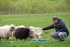 Iš parašiutų sporto ir šou pasaulio – į nuosavą ūkį