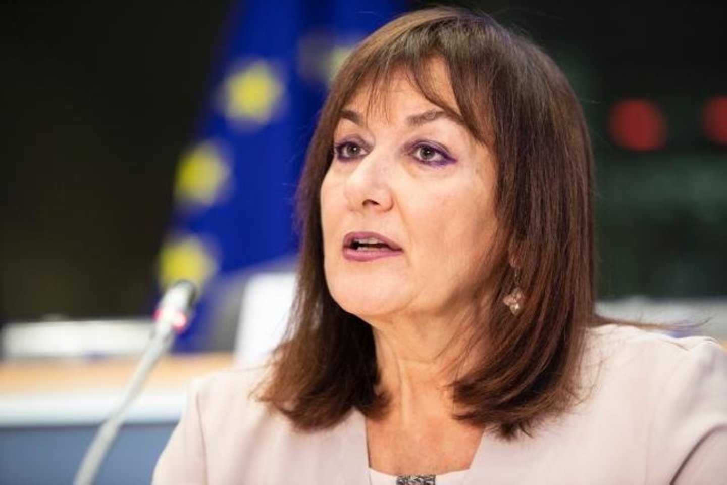 D.Šulca.<br> EK nuotr.