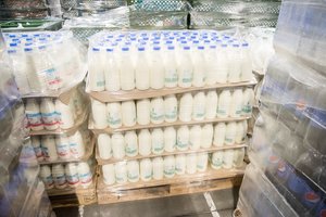 Pieno gaminių rinka rodo atsigavimo ženklus