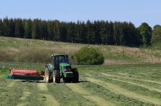 Šienapjūtė prasidėjo paradoksais: vieni džiūgauja, kiti skundžiasi