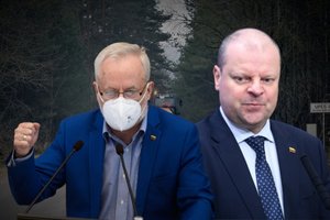 S. Skvernelis – apie šeimai padarytą žalą: „Razma su savo konservatorių damomis suorganizavo šou“