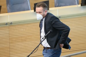 G. Landsbergis: asociacijos turėtų registruotis lobistais