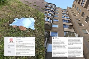 Po sukrečiančios iš 9-ojo aukšto iškritusio šuns istorijos Vilniuje – konfliktas ir atsiprašymas