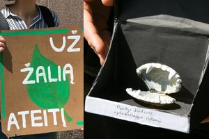 Prie Aplinkos ministerijos – būrys protestuotojų: kaltina valdžią, jog neturi dantų