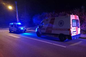 Vilkaviškio rajone policijos automobiliui susidūrus su stirna sužalota sulaikyta moteris