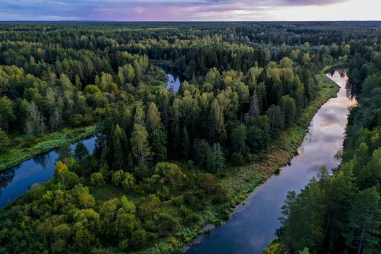 Lietuva šiemet nustebino pasaulinės iniciatyvos organizatorius