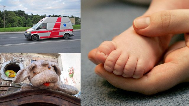 Prasidėjus vasarai pasipylė traumos: ligoninėse nusidriekė sužalotų vaikų eilės