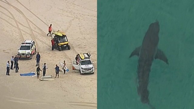 Baisi nelaimė Australijos paplūdimyje: neišgyveno milžiniško ryklio užpultas vyras