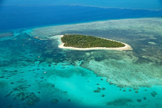 1770 m. anglų jūrininkas Jamesas Cookas šalia Australijos šiaurės rytinės pakrantės atrado Didįjį Barjerinį rifą – koralų rifų ir koralinių salų juostą.<br>123rf nuotr.