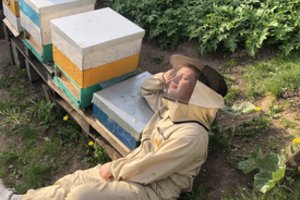 Norite pradėti bitininkauti? Patarimai, rekomendacijos ir klaidos