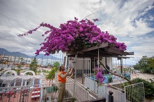 Pasakė, kiek kainuos kelionės – daug kas stvers paskutinės minutės pasiūlymus