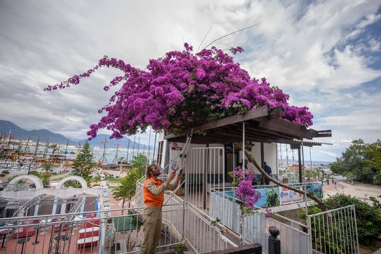 Pasakė, kiek kainuos kelionės – daug kas stvers paskutinės minutės pasiūlymus