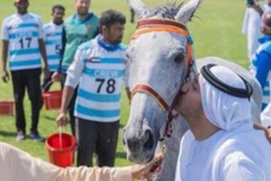 Už žiaurų elgesį su sportiniu žirgu šeichą diskvalifikavo rekordiniam laikotarpiui