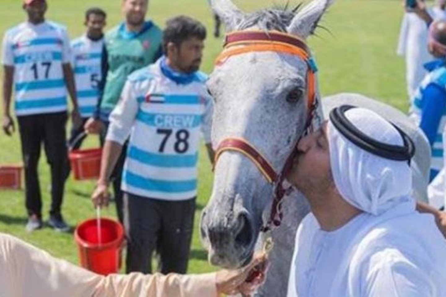 Jungtinių Arabų Emiratų šeichas Abdulas Azizas Bin Faisalis Al Qasimi sulaukė griežčiausios sankcijos už žiaurų elgesį su žirgu per visą Tarptautinės žirginio sporto federacijos (FEI) istoriją. <br> instagram.com