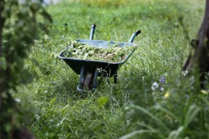 Alytiškiai rodo pavyzdį – maisto atliekas meta ne bet kur