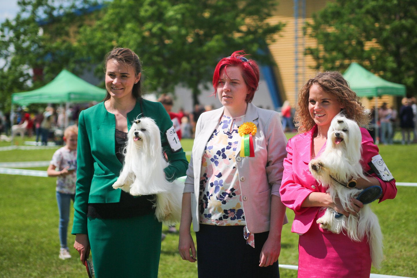 Sušvelnėjus karantino sąlygoms, įvyko pirmoji šunų paroda, kurią organizavo Kauno kinologijos metodikos centras.<br> Pranešimo nuotr.