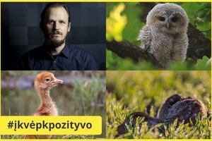 Gamtoje – ypatingas metas: specialistai pataria, kaip elgtis sutikus gyvūno jauniklį