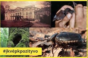 Istorinėje Vilniaus vietoje bus paleisti išnykę ir Europoje saugomi gyviai