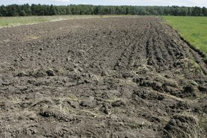 Sunkumų patiriančios žemės ūkio įmonės skolinsis paprasčiau