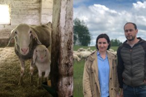 Iš Vilniaus – į ūkį kaime: jauna šeima nesitikėjo, su kuo teks susidurti