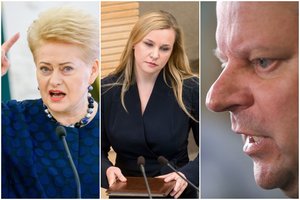 Buvusi D. Grybauskaitės patarėja bando kelti sparnus į Briuselį