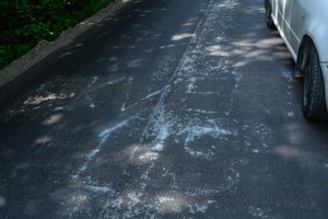 Aiškėja, kad kelią prie S. Skvernelio namų aprašinėjo buvęs D. Grybauskaitės ir R. Masiulio patarėjas