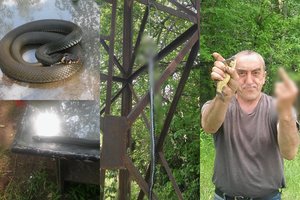 Vilnietis žalčiui surengė mirtiną egzekuciją ir pasigyrė feisbuke: sutrukdė žvejoti