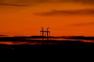 D. Virbickas: esame akylai stebimi – privalome išsaugoti energetikos vienybę     