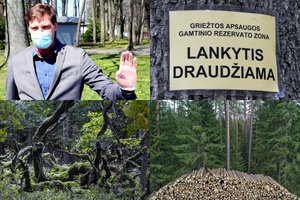 K. Mažeika pasisakė dėl Punios šilo: rezervato plėsti neketina