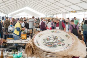 Senturgis sugrįžo – ištraukė nepaprastus daiktus, sunku net nusiderėti