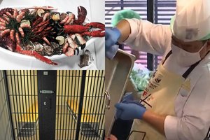 Teismas nesismulkino: klientus apgavusiems verslininkams skyrė po 1446 m. kalėjimo