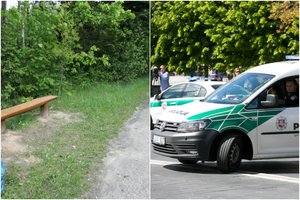 14-metės išžaginimas Vilniuje: iškrypėlis ją užpuolė parke, įtariamasis ieškomas