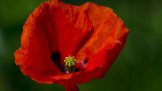 Sinoptikai pasakė, kokių orų tikėtis: pasiruoškite, vėl laukia staigmenos