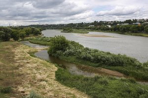 Po pranešimų apie masiškai gaištančias žuvis Nemune, gauti pirmieji tyrimų rezultatai