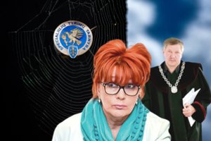 Teisėjo sprendimas atvėrė voratinklį: būrėja apkvailino ne tik STT ir prokurorus