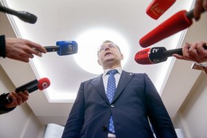 S. Skverneliui abejonių kelia D. Žalimo vadovavimas KT, sureagavo G. Nausėda