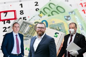 Ekonomistai abejoja, kad privatus kapitalas susidomės valstybiniu banku