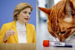 Planuoja įvesti prievolę pranešti apie koronavirusu užsikrėtusius augintinius 