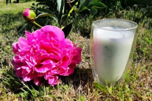 Gaivinantis kefyro gėrimas tapo tikru vasaros atradimu