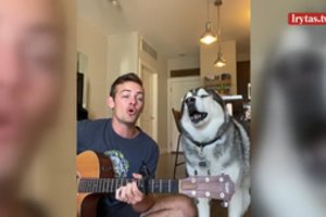 Šuo pavergė internautų širdis: netikėtas augintinio pomėgis stebina tūkstančius