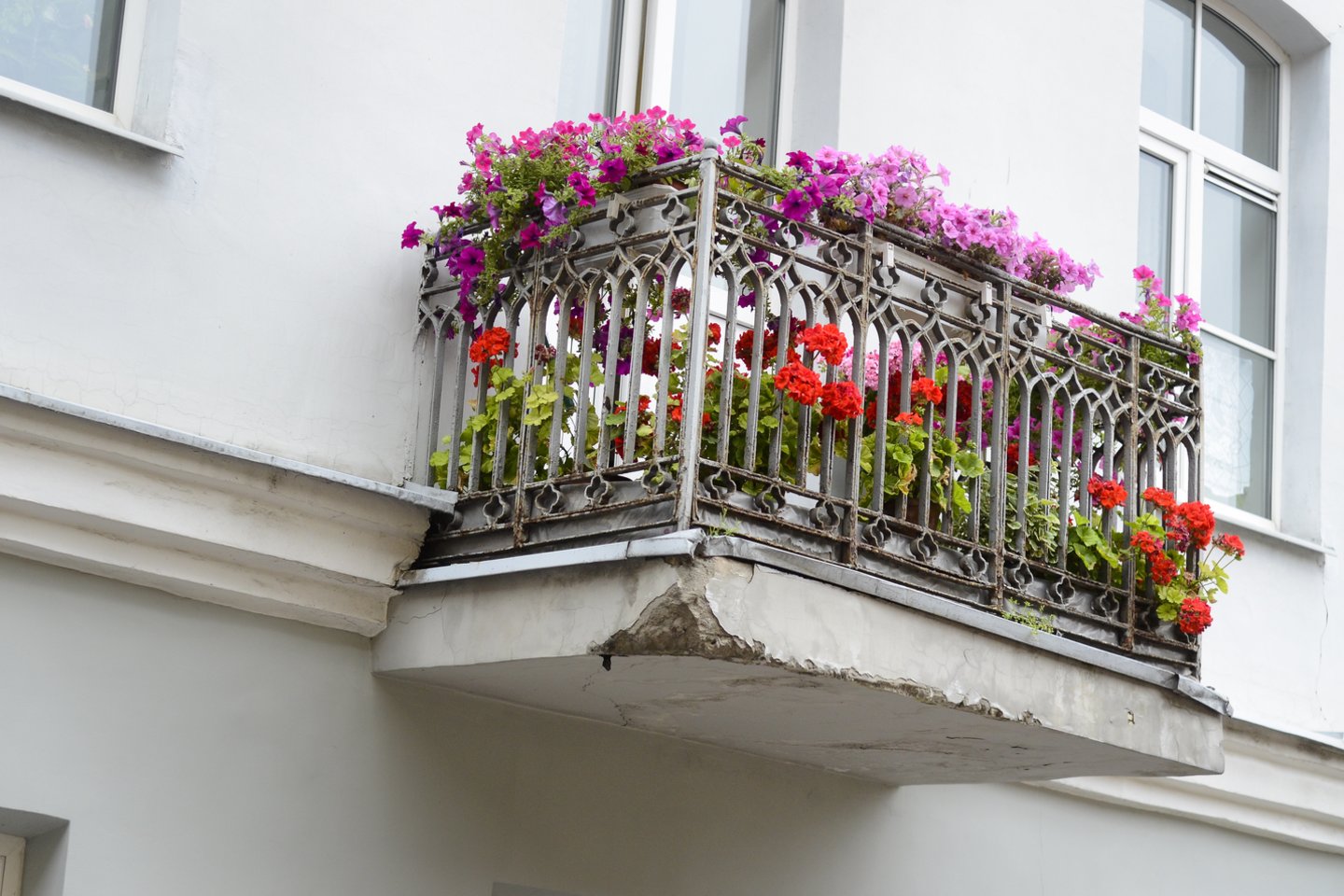 Skoningai apželdintas balkonas ne tik kelia vidinį džiaugsmą ir ramina po dienos darbų, bet ir pagerina estetinę pastato išvaizdą bei mikroklimatą patalpoje.<br>J.Stacevičiaus nuotr.