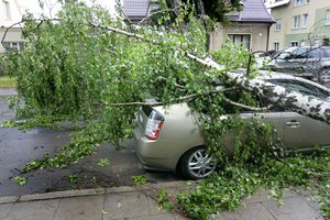 Lietuvą siaubusi audra vieną po kito vartė medžius, traiškė namų stogus