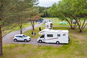 Birštone atidarytas modernus kempingas: gamtos mylėtojai galės nakvoti ir hamakuose