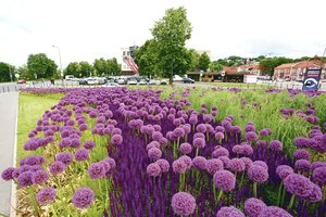 Kraštovaizdžio specialistas: tokio efektingo reginio Kaune gali pavydėti net vilniečiai